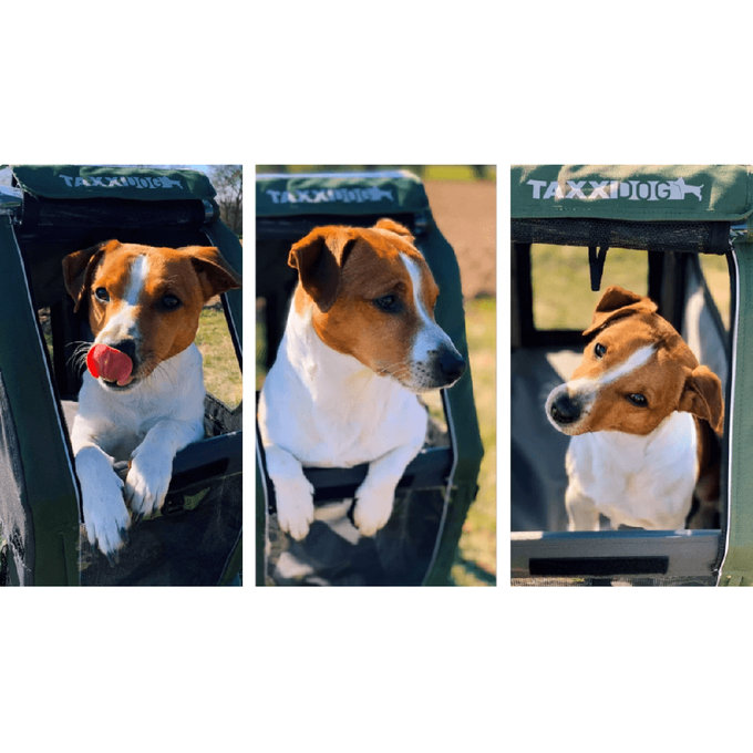 TaXXI Vozík pre psa M tmavosivá/tmavozelená